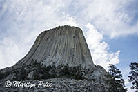 Devil's Tower, Devil's Tower National Monument, WY