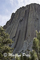 Devil's Tower, Devil's Tower National Monument, WY