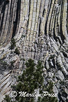 Devil's Tower, Devil's Tower National Monument, WY