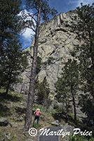 Devil's Tower, Devil's Tower National Monument, WY