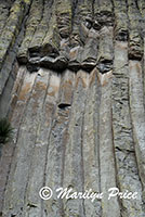 Devil's Tower, Devil's Tower National Monument, WY