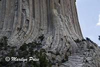 Devil's Tower, Devil's Tower National Monument, WY