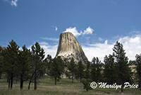 Devil's Tower, Devil's Tower National Monument, WY