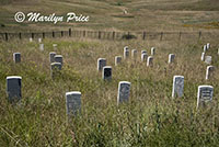 Markers where soldiers fell, Last Stand Hill, Little Bighorn Battlefield National Monument, MT