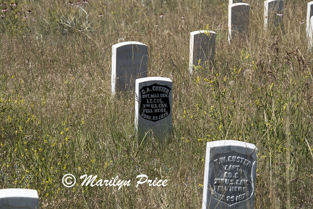 Markers where soldiers fell, Last Stand Hill, Little Bighorn Battlefield National Monument, MT