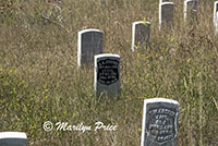 Markers where soldiers fell, Last Stand Hill, Little Bighorn Battlefield National Monument, MT