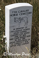 Horse cemetery marker, Little Bighorn Battlefield National Monument, MT