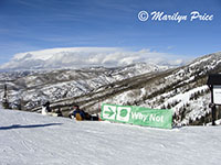 One of the green runs, Steamboat Springs, CO