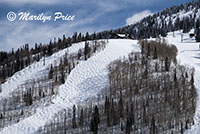 Four Points? at the top of a mogol field, Steamboat Springs, CO