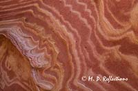 Patterns in sandstone, Paria-Vermillion Cliffs Wilderness Area, AZ