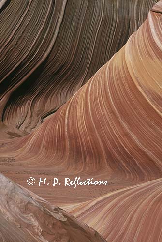 The Wave, Coyote Buttes, Paria-Vermillion Cliffs Wilderness Area, AZ