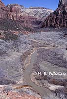 Early spring comes to the valley floor of Zion National Park, UT