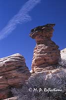 Sandstone formations, also known as hoodoos, Zion National Park, UT