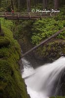 Sol Duc Falls, Olympic National Park, WA