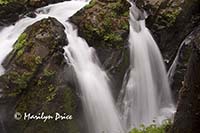 Sol Duc Falls, Olympic National Park, WA