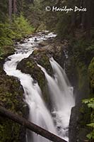 Sol Duc Falls, Olympic National Park, WA