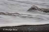 Rock and wave, Rialto Beach, Olympic National Park, WA