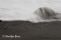 Rock and wave, Rialto Beach, Olympic National Park, WA