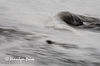 Rock and wave, Rialto Beach, Olympic National Park, WA