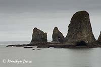 Sea stacks, Rialto Beach, Olympic National Park, WA