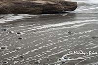 Waves and log, Rialto Beach, Olympic National Park, WA