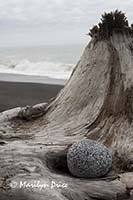 Driftwood and rock, Rialto Beach, Olympic National Park, WA