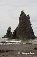 Split Rock, Rialto Beach, Olympic National Park, WA