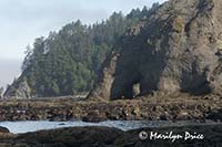 Hole in the Rock, Rialto Beach, Olympic National Park, WA