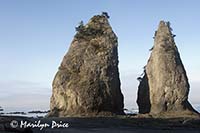 Split Rock, Rialto Beach, Olympic National Park, WA