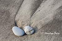 Rocks and wave patterns, Rialto Beach, Olympic National Park, WA