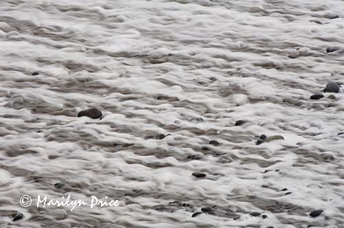 Surf and pebbles