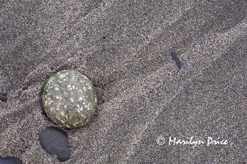 Surf and pebbles