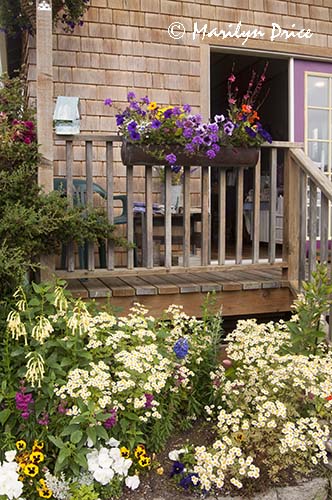 Storefront, Olympic Lavender Farm, Sequim, WA