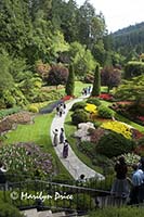 Overview of the Sunken Gardens, Butchart Gardens, Victoria, BC