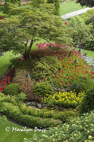 Flowerbeds of the Sunken Gardens, Butchart Gardens, Victoria, BC