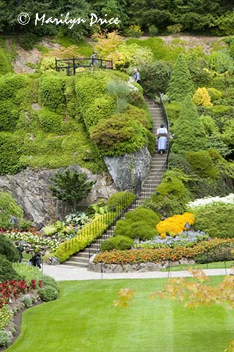 Stairs to overlook of the Sunken Gardens, Butchart Gardens, Victoria, BC