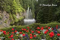 Ross Fountain, Butchart Gardens, Victoria, BC