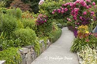 Path through the Rose Garden, Butchart Gardens, Victoria, BC