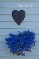 Flowerbasket and heart on a houseboat, Fisherman's Wharf, Victoria, BC