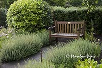 Garden bench, Herb Garden, grounds of Government House, Victoria, BC