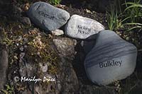 Commerative stones?, grounds of Government House, Victoria, BC