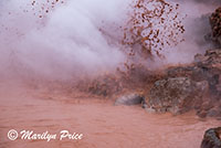 The Red Spouter, Fountain Paint Pots, Yellowstone National Park, WY