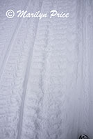 Snow patterns, Gibbon Falls parking lot, Yellowstone National Park, WY