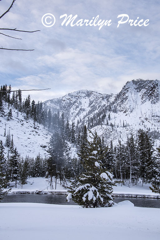 Madison River, Yellowstone National Park, WY