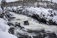 Firehole Cascades, Yellowstone National Park, WY