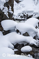 Snow pillows just below Firehole Cascades, Yellowstone National Park, WY