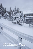 Frosted railings (frozen steam), trees, and Firehole River, Midway Geyser Basin, Yellowstone National Park, WY