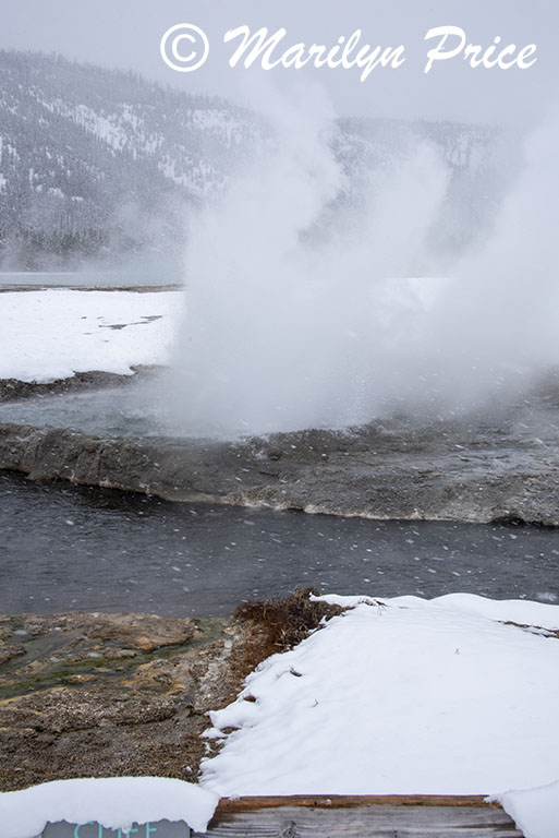 Cliff Geyser, Black Sand Basin, Yellowstone National Park, WY