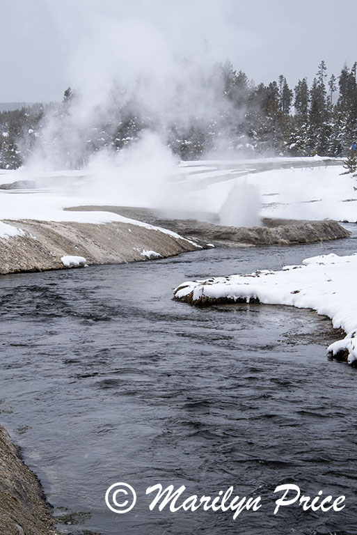 Iron Springs River and Cliff Geyser, Black Sand Basin, Yellowstone National Park, WY