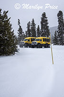 Snow coaches parked at Black Sand Basin, Yellowstone National Park, WY